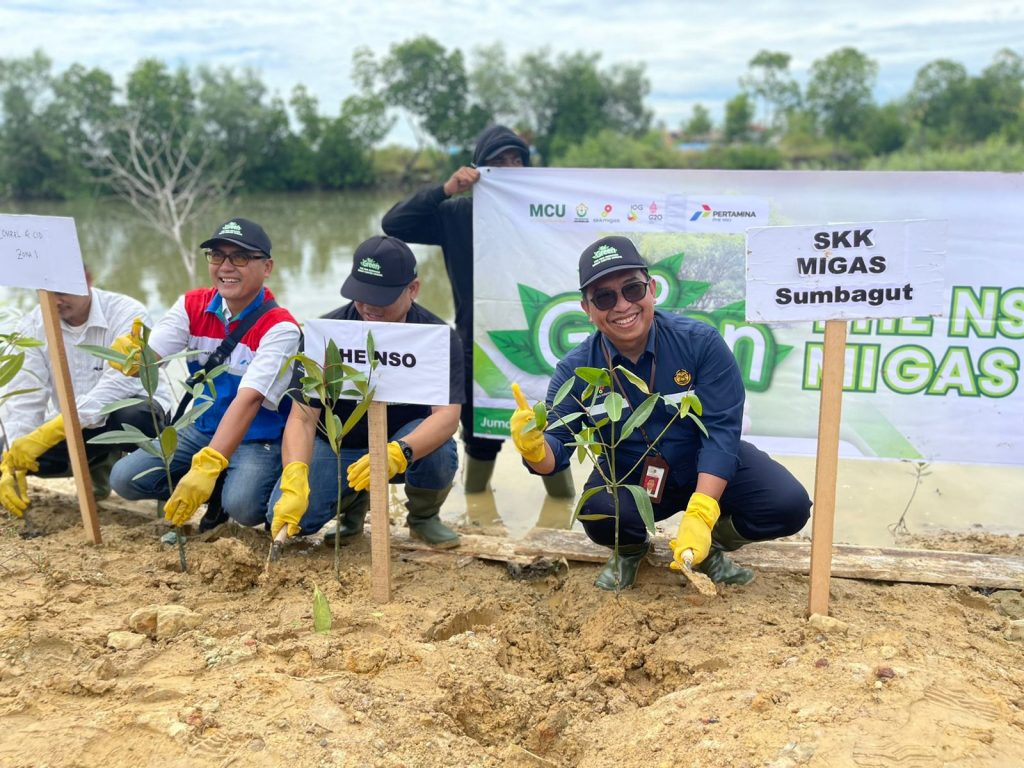 PHE NSO dan Unimal Tanam 5.000 Mangrove di DAS Krueng Cunda Lhokseumawe