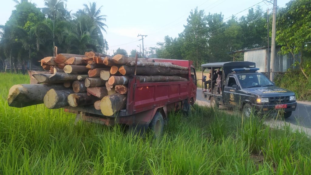 KPH Tangkap Pelaku Ilegal Logging di Gunung Lengkuas Bintan